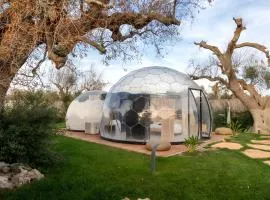 Folià Natural Experience