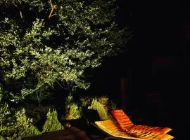 Maisonk Provence