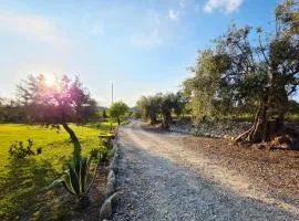 Feudo Mallav B&B Noto - Roulotte