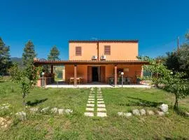 Villa Giulia Piccola