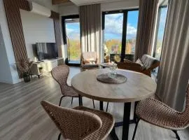 Apartament B39 nad jeziorem z dostępem do sauny siłowni Szczyrk
