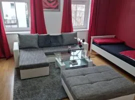 Große 4 Zimmerwohnung Zwickau