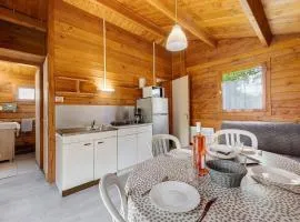 Chalet bois 9 Domaine Les Epinettes