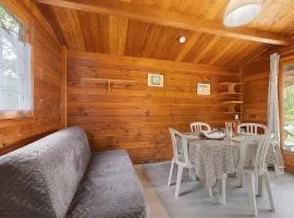 Chalet bois 1 Domaine Les Epinettes