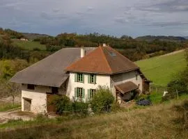 Le Palefroi De Merlas