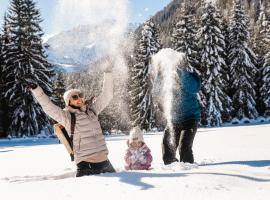 Almfamilyhotel Scherer, hotel in Obertilliach