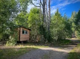 New Cabin on Off-Grid Homestead