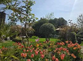 Le nid des volcans, jardin, brasero & bain nordique