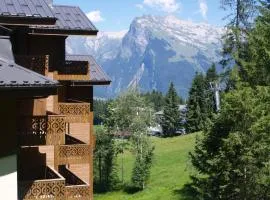La Maison de l'alpage Morillon 1100