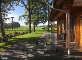 Houten villa Albert: Den Ham şehrinde bir otel