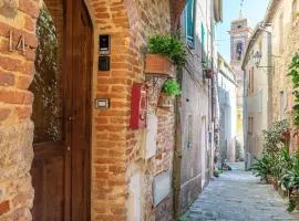 Beb Pulcino Nero Scrofiano