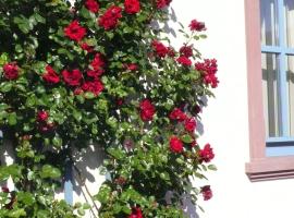 Ferienwohnung in ehemaliger Bank, hotel v mestu Sinntal