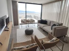 Douro Barcos House Local