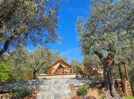 Casa Novena glamping tra gli uliveti, hotel em Vezzano Ligure