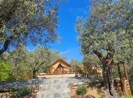 Casa Novena glamping tra gli uliveti