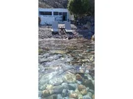 Seagull Syros Seaside