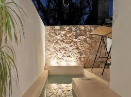 Casa Colibri Central Villa with Private Pool and Tub Merida