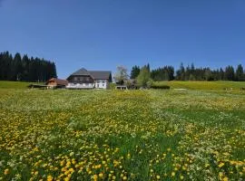 Lorenzenhäusle Titisee-Neustadt