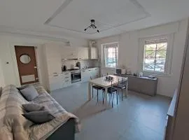 Grey House Pavia con Box Privato