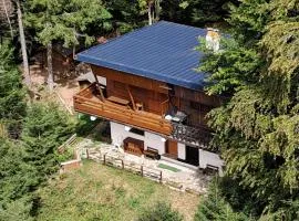 Chalet Le Mouflon Lioran