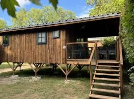 Cabane sur pilotis avec terrasse - 7 pers. - API-1-52-2217