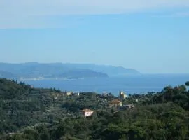 Monolocale Fattorialmare Gialla