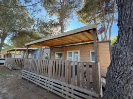 Mobil-Home Prénium 3 chambres