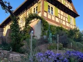 Fewos Weingut Pieper Basler
