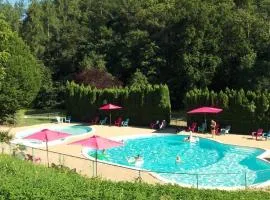 Gîte accueillant animaux - 6 pers. - API-1-52-2314