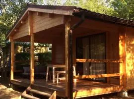 Chalet accueillant, animaux OK - 4 pers. - API-1-52-2386