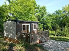 Mobil-home cosy, animaux OK - 2 pers. - API-1-52-2464