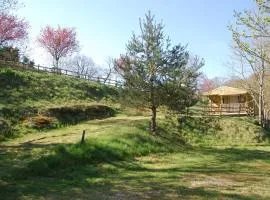 Chalet, animaux admis - 5 pers. - API-1-52-2604