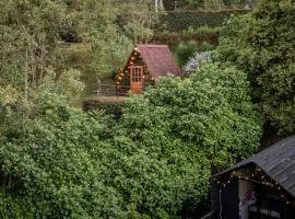 Chalets en Santa Elena en medio del Bosque