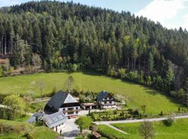 Waldbauernhof, Hotel in Hornberg