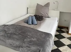 Schönste Lage an der Donau 1