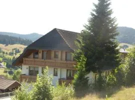 Hochtalblick-Herzogenhorn -Blößing1