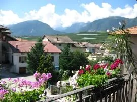 Agriturismo Odorizzi