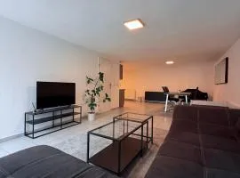 Ferienwohnung direkt am Rhein