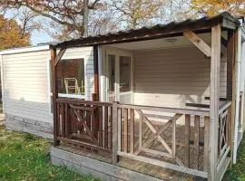 Mobil home, animaux admis - 4 pers. - API-1-52-2665