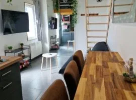 Magnifique logement à 200m de la plage avec terrasse et emplacement voiture gratuit