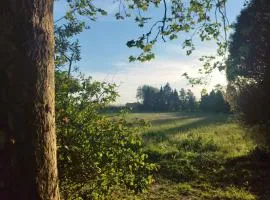 Maison de maître en Provence - Charme et ancien