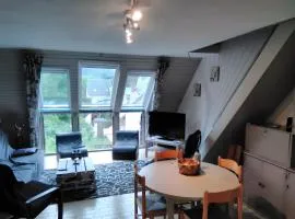 Appartement T3 Duplex à Saint-Lary