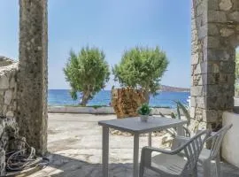 Syrios Suites No 2