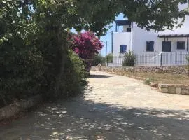 Cozy Apartment For Rent In Kythera