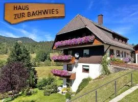 Aufblühen in Menzenschwand