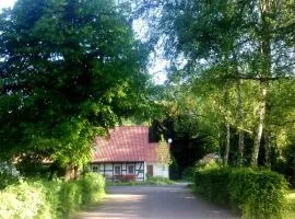 Fuchsrevier Fox District Apartment