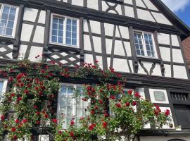 Apartment im Scheffelhaus, Hotel in Gengenbach