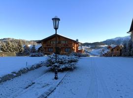 Pensiunea Casa Schiorilor, hotel Fundăţicában