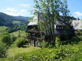 Familien-Sportappartements Wetzel, Hotel in Menzenschwand