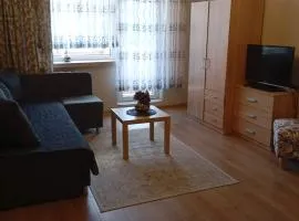 Vieno kambario butas